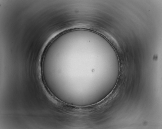 X0000103270792200808291106
