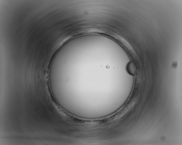 X0000103270793200808291106