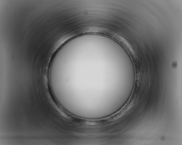 X0000103270794200808291106