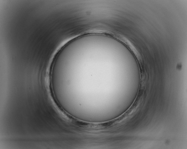 X0000103270795200808291106