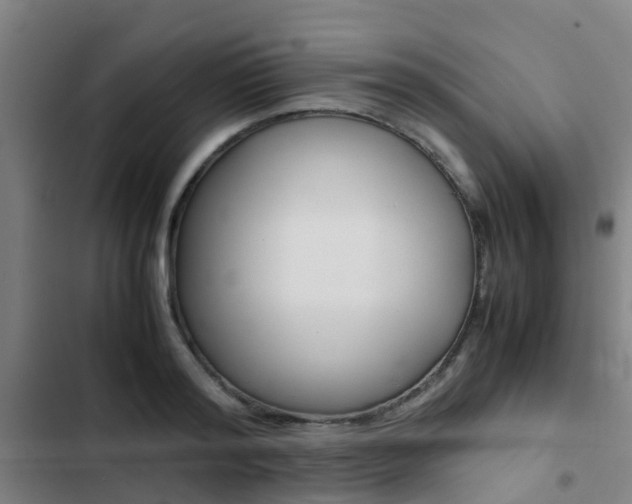 X0000103270796200808291106