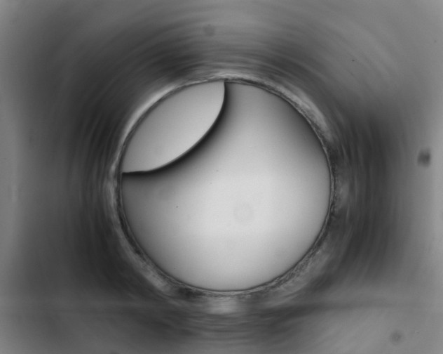 X0000103270798200808291106