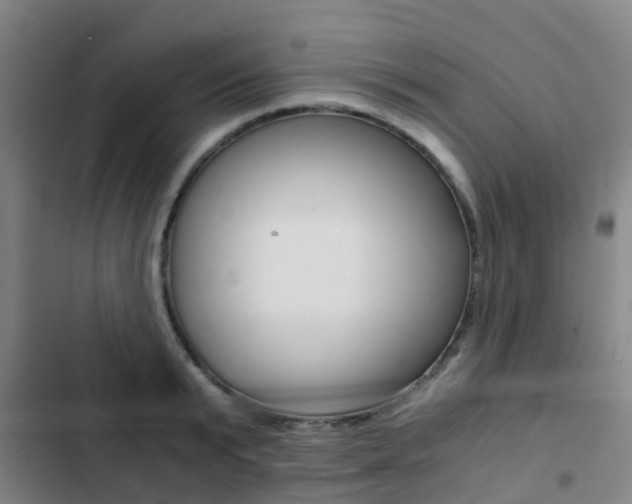 X0000103270799200808291106