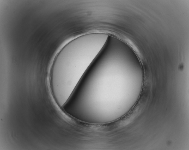 X0000103270803200808291106