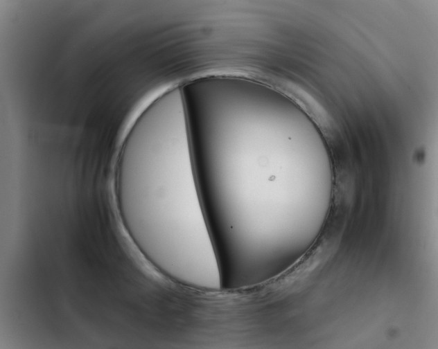 X0000103270804200808291105