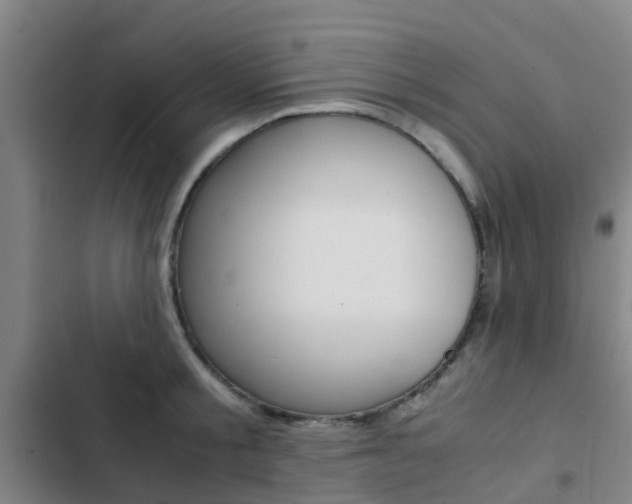 X0000103270805200808291105