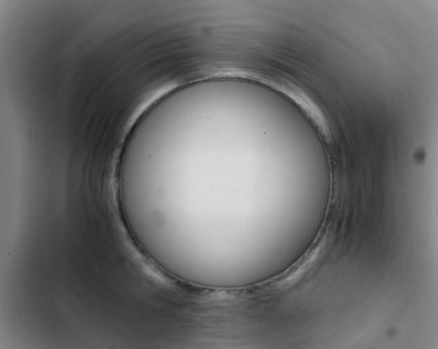 X0000103270806200808291105