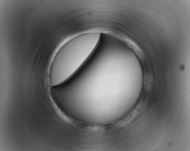 X0000103270808200808291105