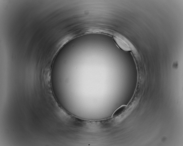 X0000103270809200808291105