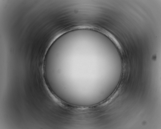 X0000103270810200808291105