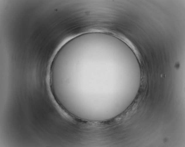 X0000103270811200808291105