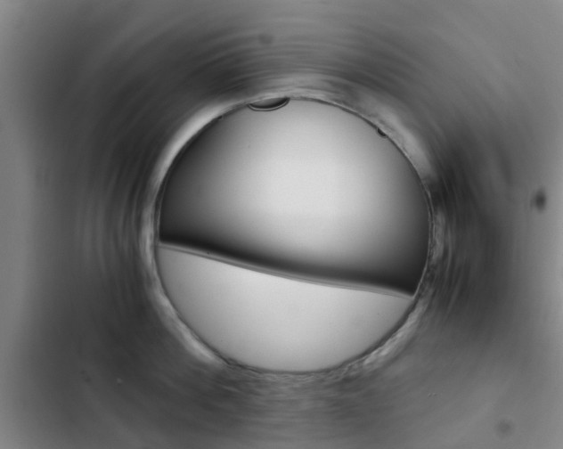 X0000103270812200808291105