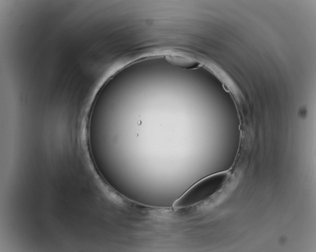X0000103270813200808291105