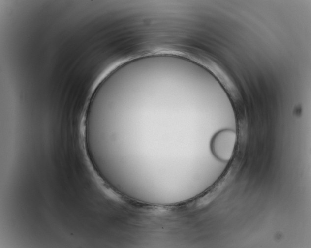 X0000103270814200808291105