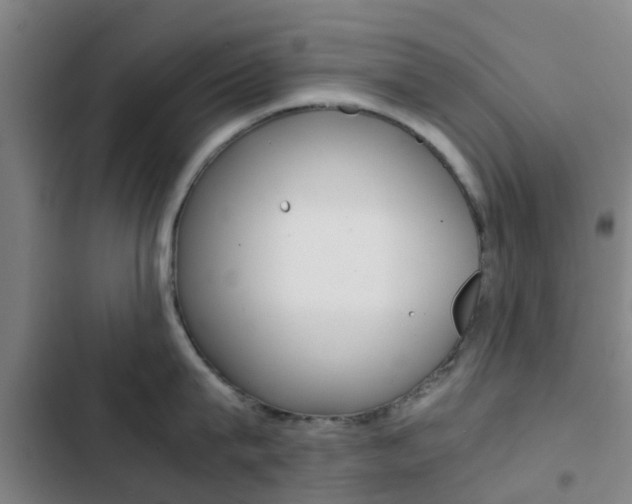 X0000103270815200808291105