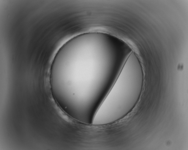 X0000103270816200808291105