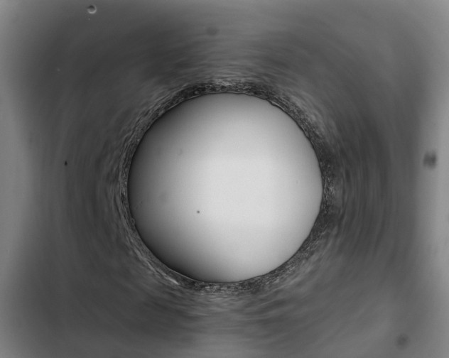 X0000103270817200808291105