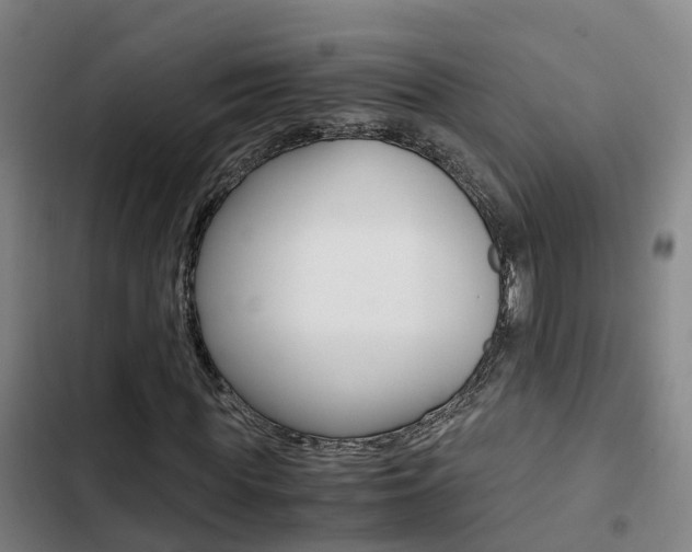 X0000103270819200808291105