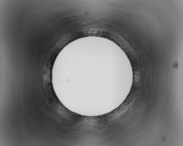 X0000103270820200808291105