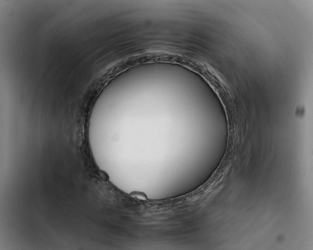 X0000103270821200808291105