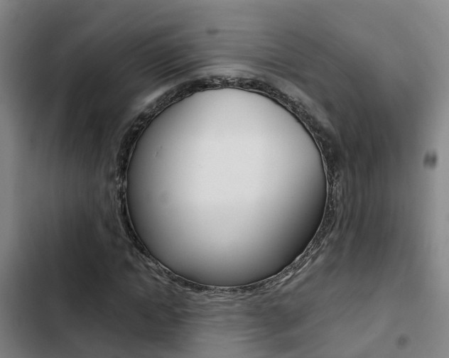 X0000103270822200808291105
