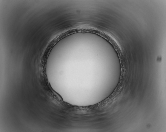 X0000103270823200808291105