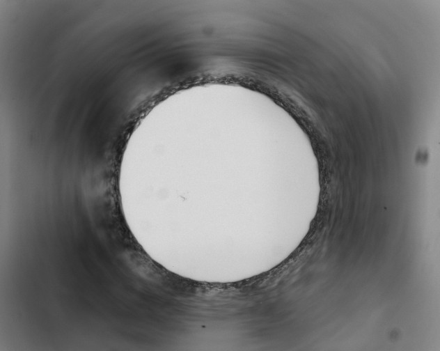 X0000103270824200808291105