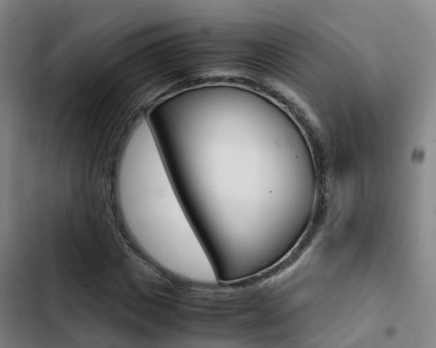 X0000103270825200808291105