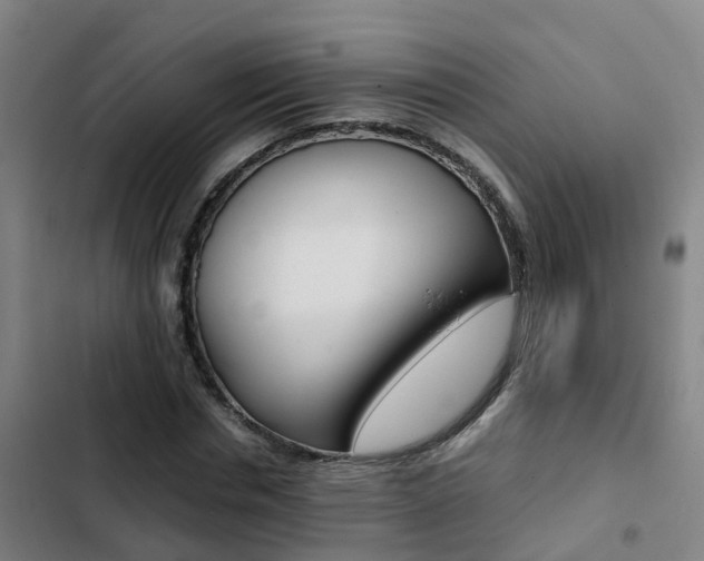 X0000103270826200808291105
