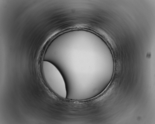 X0000103270827200808291105
