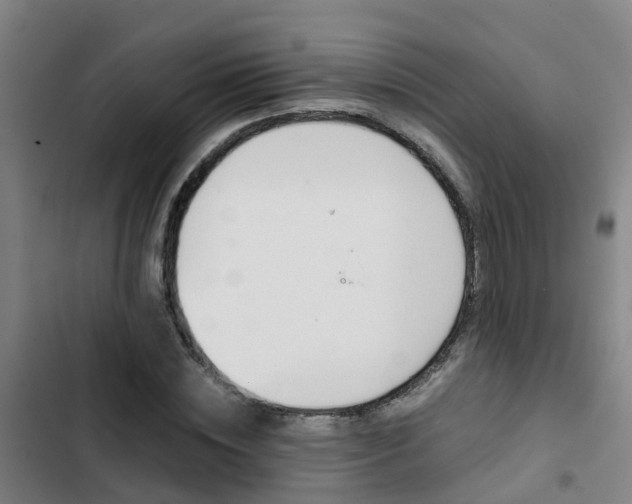 X0000103270828200808291105