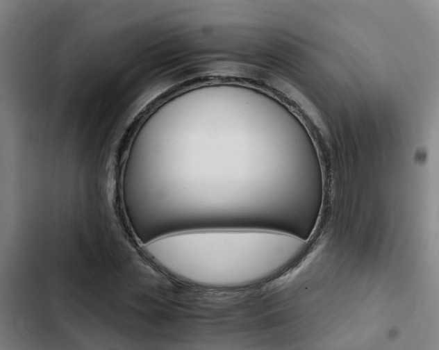 X0000103270829200808291105