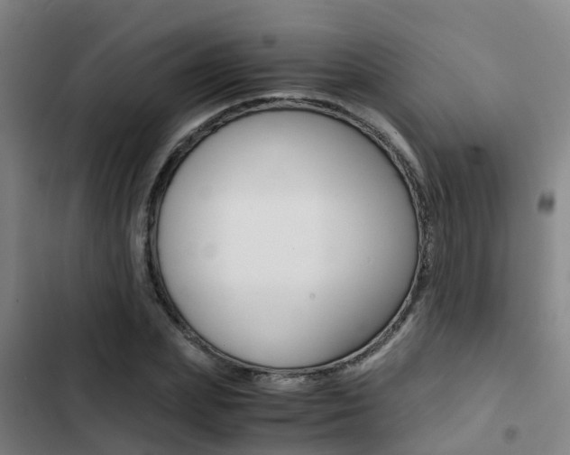 X0000103270831200808291105