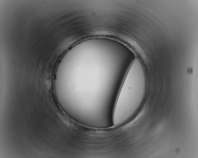 X0000103270833200808291105