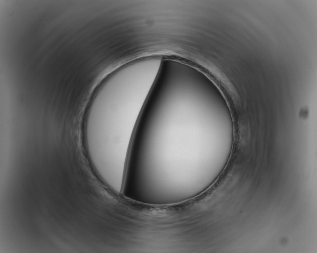 X0000103270834200808291105