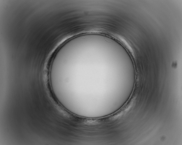 X0000103270835200808291105