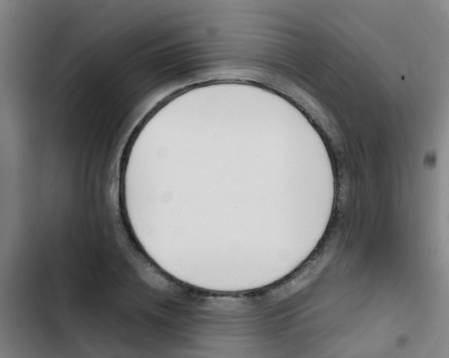 X0000103270836200808291105