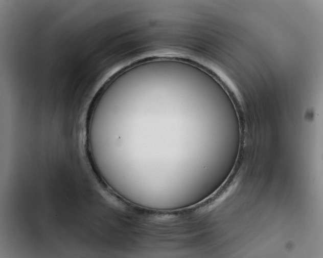 X0000103270837200808291105