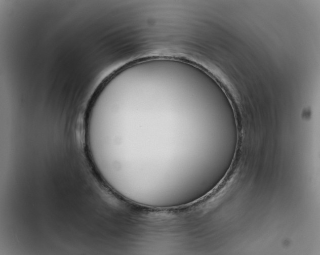 X0000103270838200808291105