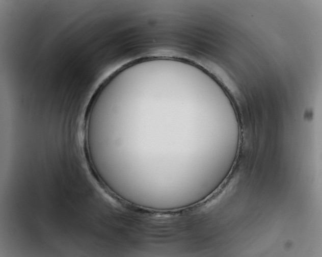 X0000103270839200808291105