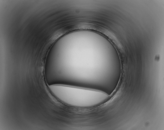 X0000103270841200808291105