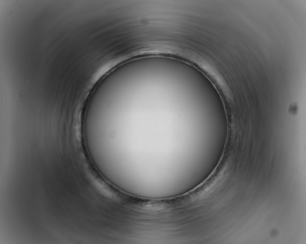 X0000103270842200808291105