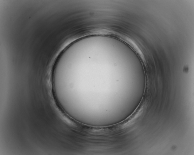 X0000103270843200808291105