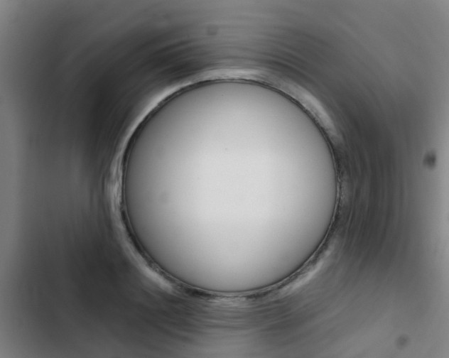 X0000103270844200808291105