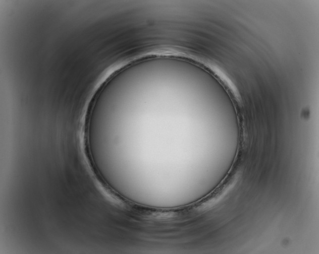 X0000103270845200808291105
