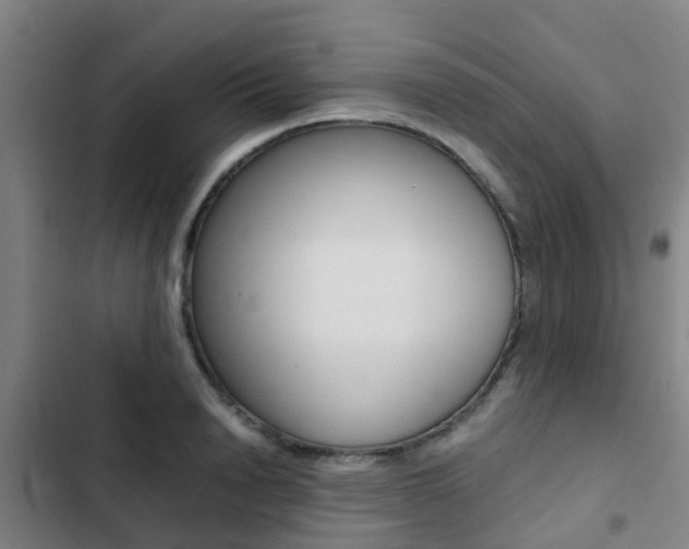 X0000103270846200808291105