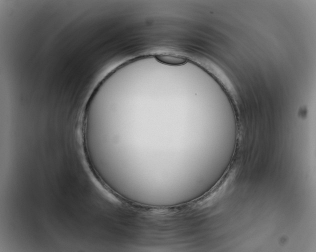 X0000103270847200808291105