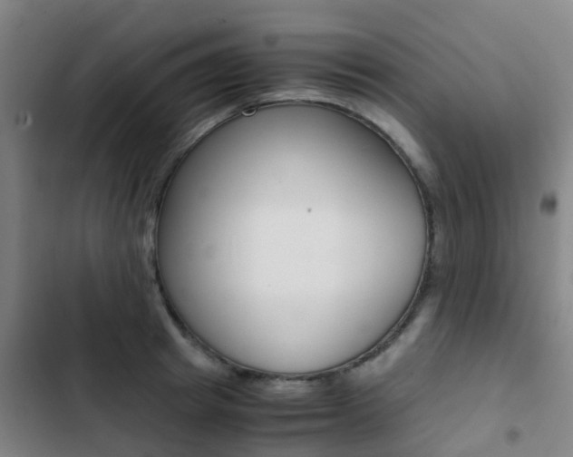 X0000103270849200808291105