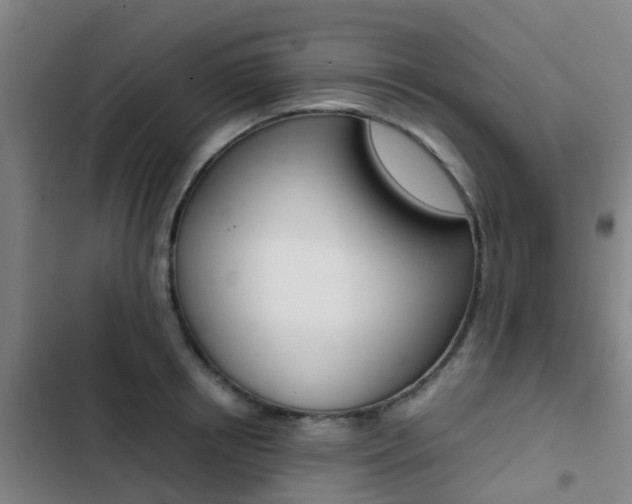 X0000103270850200808291105