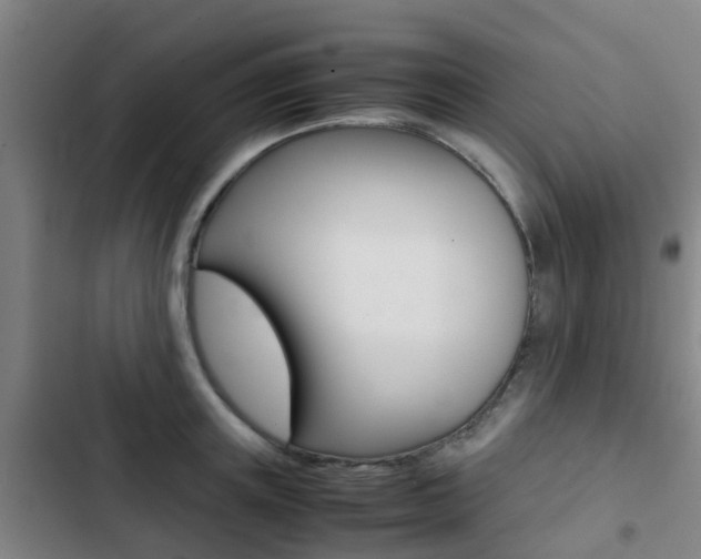 X0000103270851200808291105